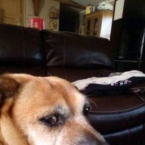 Meet your Posher, Barbara